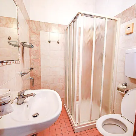 Rosa ガッテーオ・ア・マーレ