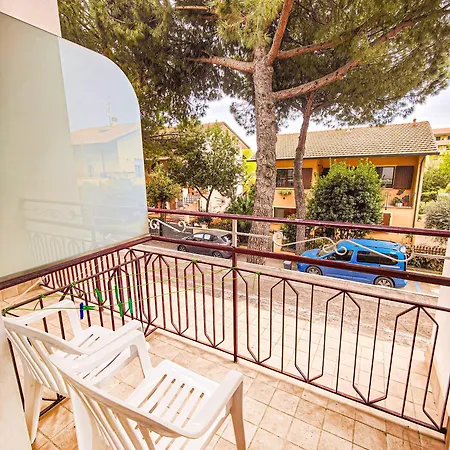 Rosa Гаттео-а-Маре